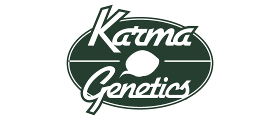 Karma Genetics